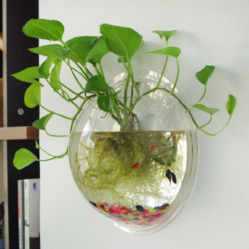 Hanging Glass Ball Vase - Homegenics