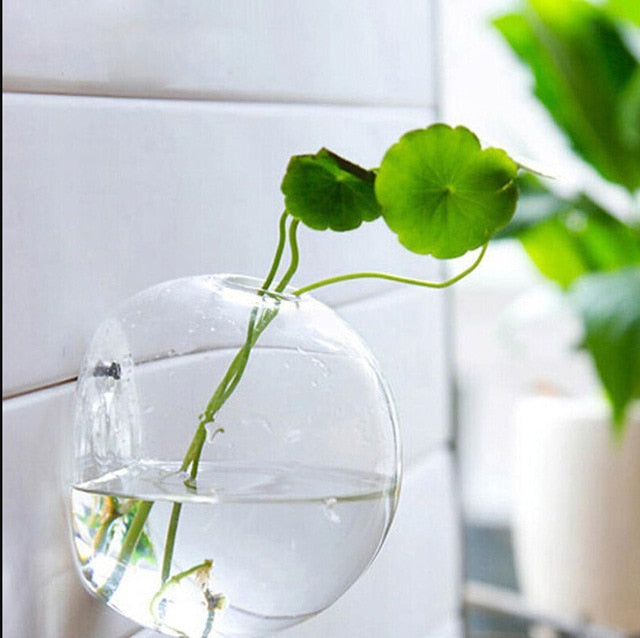 Hanging Glass Ball Vase - Homegenics