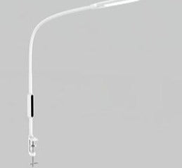 Flexible Long Arm Table Lamp - Homegenics