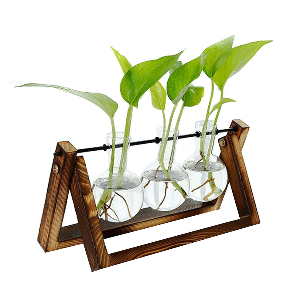 Hydroponic Glass Planter Vase - Homegenics