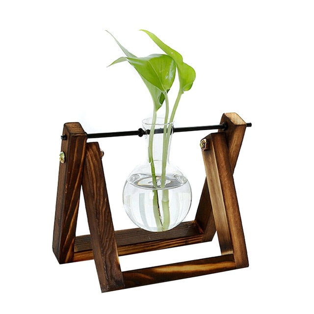 Hydroponic Glass Planter Vase - Homegenics