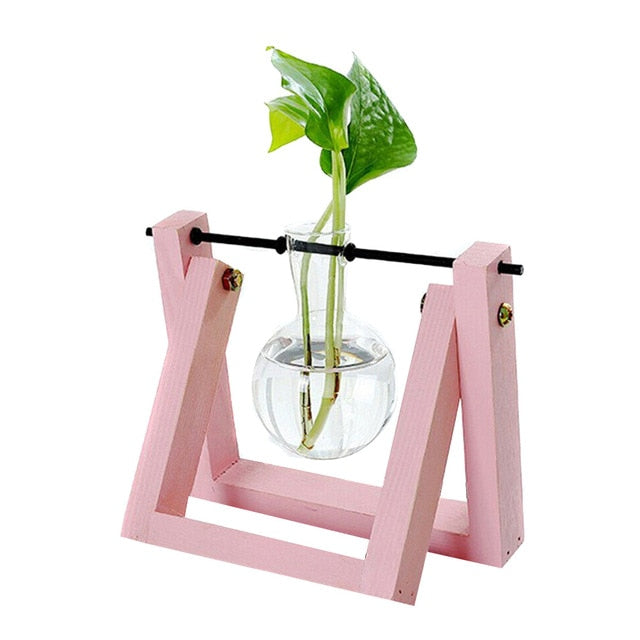 Hydroponic Glass Planter Vase - Homegenics