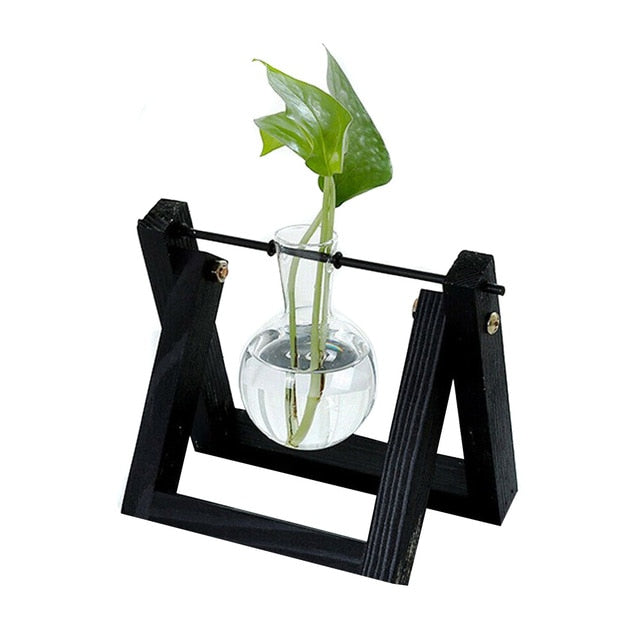 Hydroponic Glass Planter Vase - Homegenics