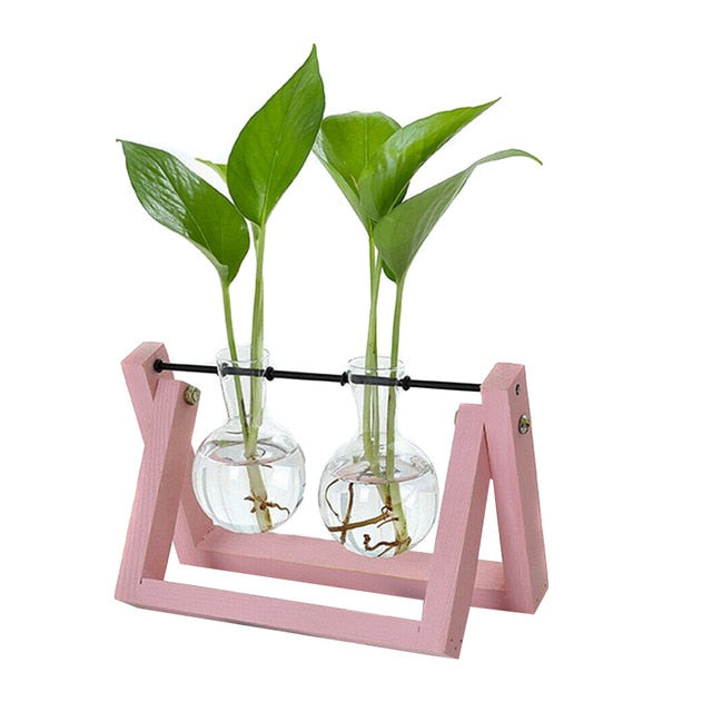 Hydroponic Glass Planter Vase - Homegenics