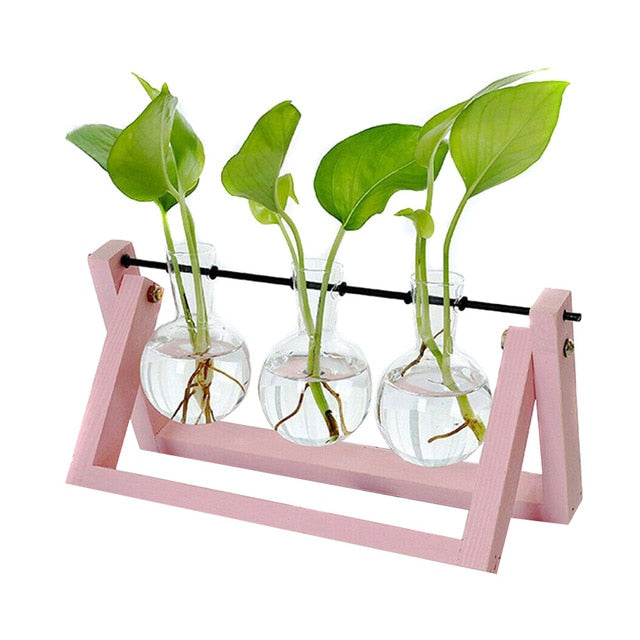 Hydroponic Glass Planter Vase - Homegenics