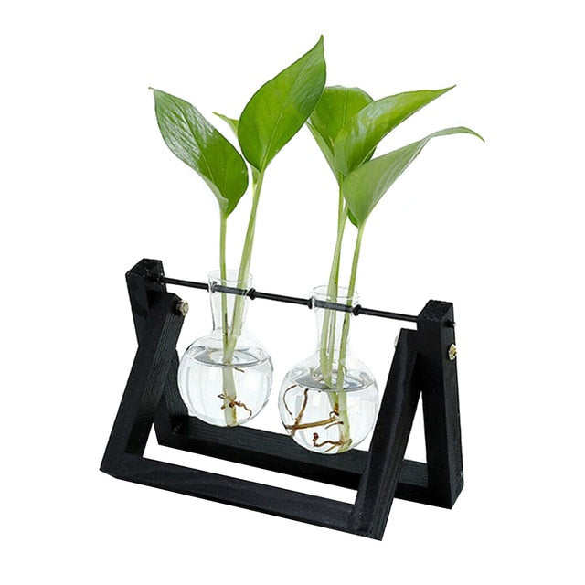 Hydroponic Glass Planter Vase - Homegenics