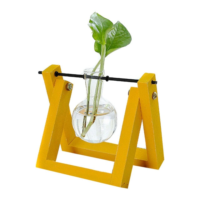 Hydroponic Glass Planter Vase - Homegenics