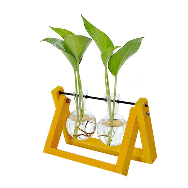 Hydroponic Glass Planter Vase - Homegenics