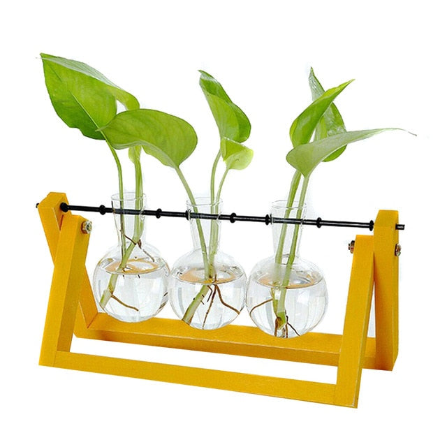 Hydroponic Glass Planter Vase - Homegenics