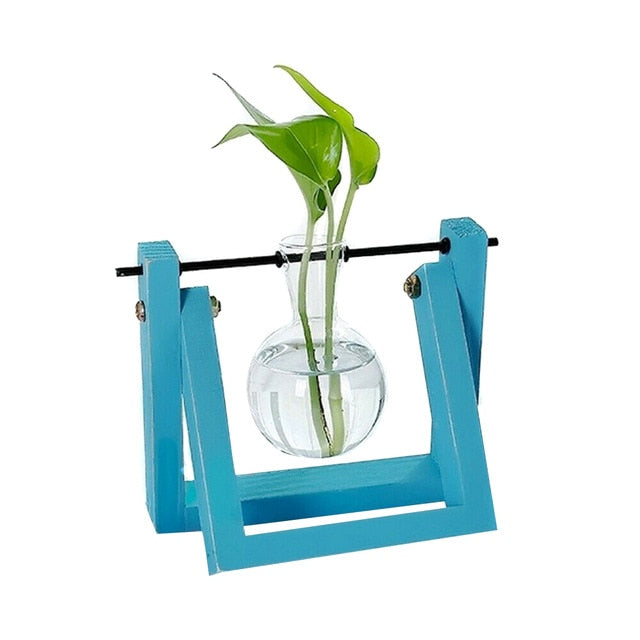 Hydroponic Glass Planter Vase - Homegenics