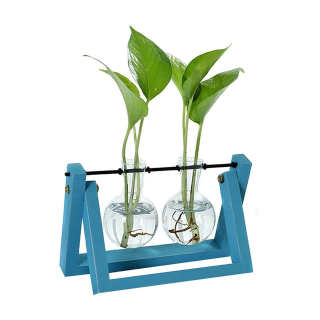 Hydroponic Glass Planter Vase - Homegenics