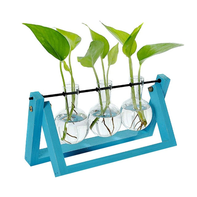 Hydroponic Glass Planter Vase - Homegenics