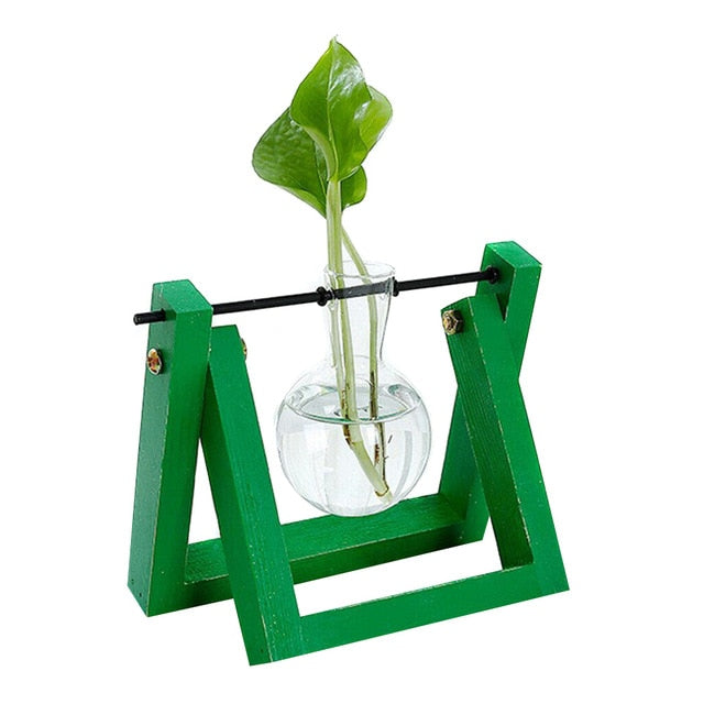 Hydroponic Glass Planter Vase - Homegenics