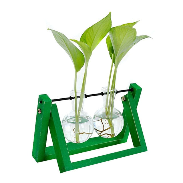 Hydroponic Glass Planter Vase - Homegenics