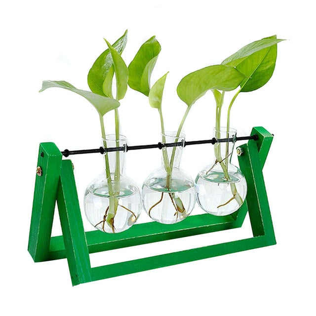 Hydroponic Glass Planter Vase - Homegenics