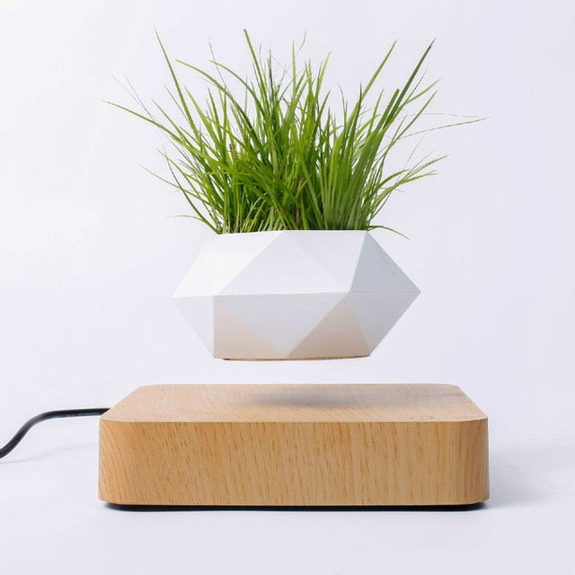 Floating Geometric Bonsai Flower Pot - Homegenics