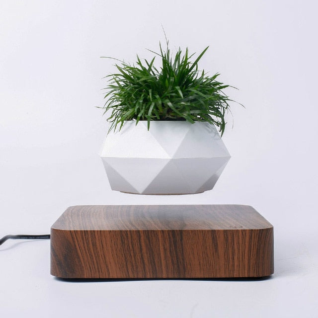 Floating Geometric Bonsai Flower Pot - Homegenics